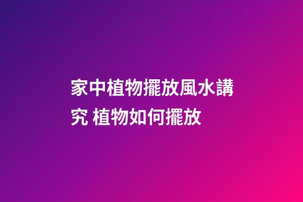 家中植物擺放風水講究 植物如何擺放
